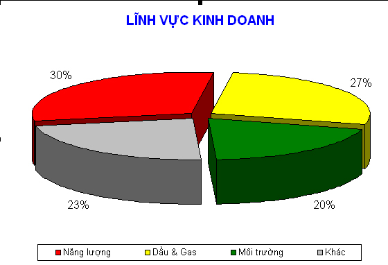 Lĩnh vực kinh doanh